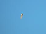 dsc01074.jpg
