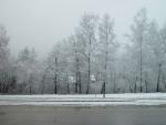 dsc01167.jpg