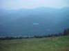 dsc04650.jpg