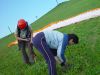dsc04663.jpg