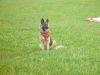 dsc04677.jpg
