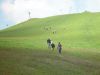 dsc04683.jpg