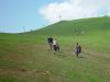 dsc04685.jpg