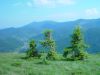 dsc04711.jpg