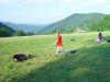 dsc04730.jpg