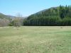 dsc04352.jpg