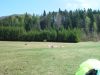 dsc04353.jpg