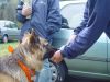 dsc04373.jpg
