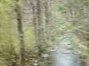 dsc04388.jpg