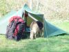 dsc04399.jpg