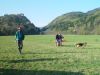 dsc04400.jpg