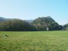dsc04401.jpg