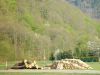 dsc04404.jpg