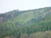 dsc04433.jpg