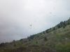 dsc04448.jpg