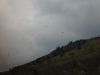 dsc04449.jpg