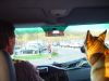 dsc04457.jpg